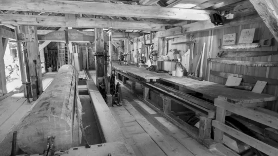 Sabrinawood Coachella - Sabrinawood Coachella: Carpenter Turns Festival Into Fully Operational Lumber Mill