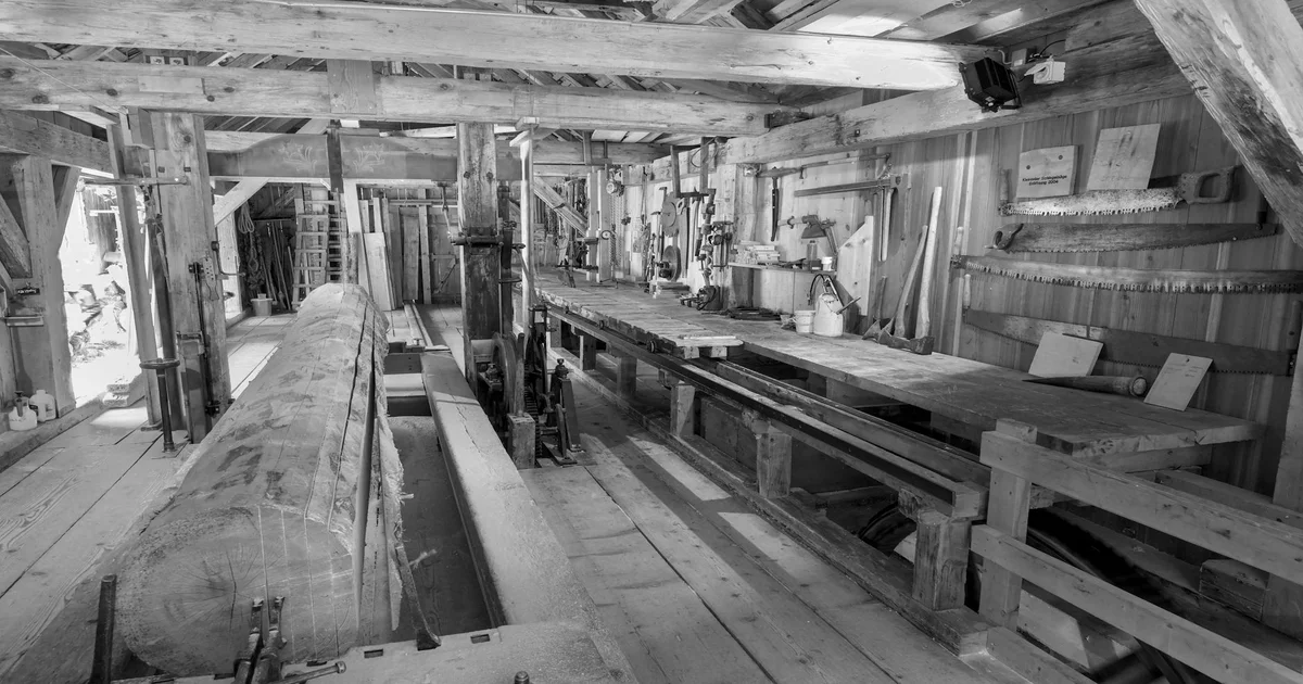 Sabrinawood Coachella - Sabrinawood Coachella: Carpenter Turns Festival Into Fully Operational Lumber Mill