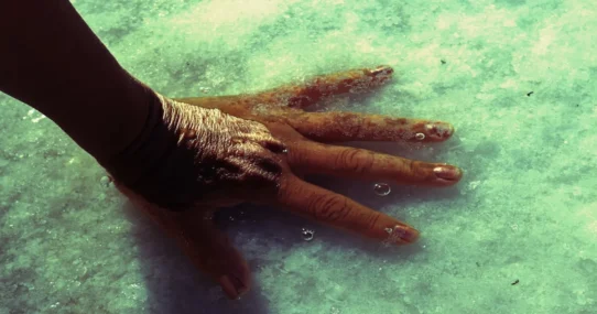 Yes postpones tour - Yes Postpones Fragile Tour Citing Guitarist's Upcoming 'Mandatory' Hand-Wringing Session