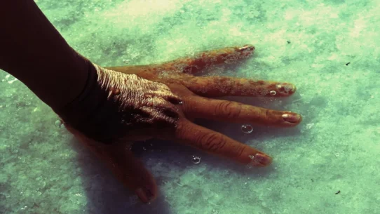 Yes postpones tour - Yes Postpones Fragile Tour Citing Guitarist's Upcoming 'Mandatory' Hand-Wringing Session