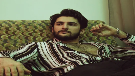 Zayn Malik Hospitalized - Zayn Malik Hospitalized Day Of Album Release, Blames 'Konnakol' Flu